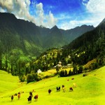 Sainj Valley Trek 4N/5D